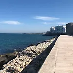 Nenetta & 招待所 莫诺波利