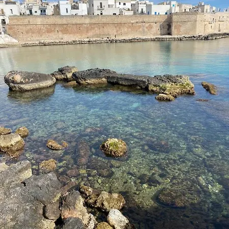 Nenetta & Monopoli