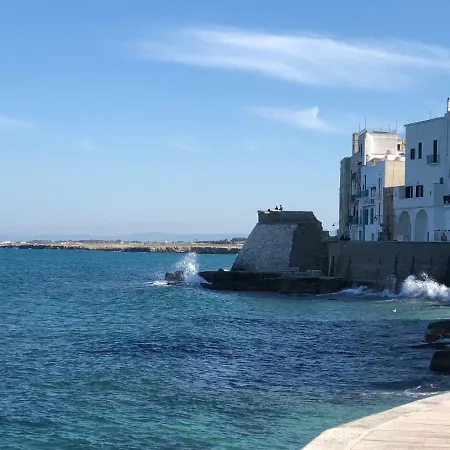 Guest house Nenetta &